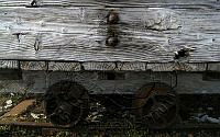 NP050111.jpg