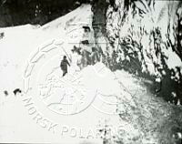 NP066273.jpg