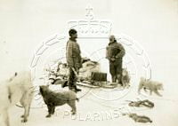 NP044355.jpg