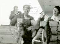 NP044206.jpg