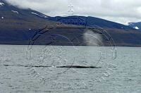 NP086091.jpg