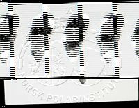 np001054.jpg