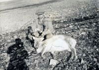 NP040078.jpg