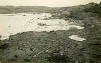 NP043422.jpg