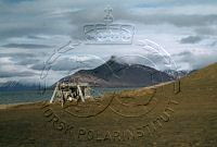 NP017913.jpg