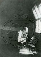 NP080075.jpg