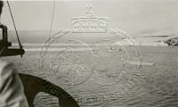 NP048450.jpg