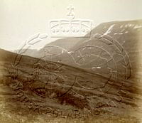 NP048861.jpg