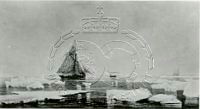 NP049522.jpg