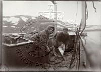 NP018344.jpg