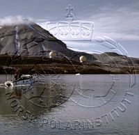 NP084490.jpg