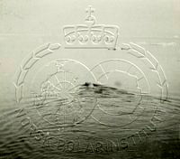 NP048436.jpg
