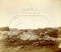NP048847.jpg