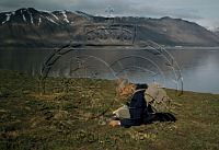 NP017912.jpg