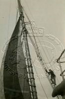 NP043438.jpg