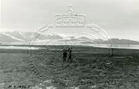 NP080032.jpg
