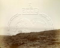 NP048849.jpg