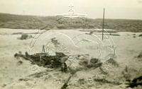 NP043426.jpg