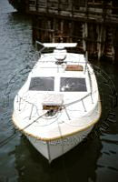 NP084449.jpg