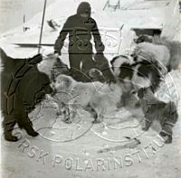 NP066278.jpg
