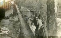 NP043415.jpg