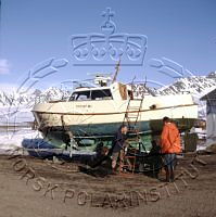 NP083732.jpg