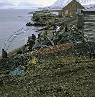 NP083606.jpg