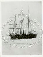 NP049523.jpg