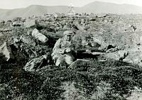 NP041413.jpg