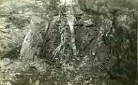 NP043431.jpg