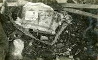 NP043425.jpg