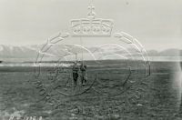 NP037243.jpg