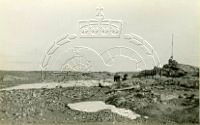 NP043428.jpg
