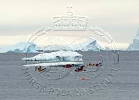 NP060020.jpg